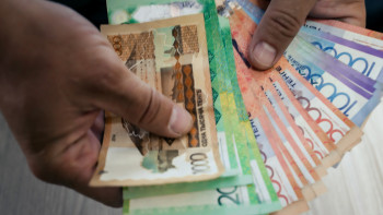 Фотография к новости: Жамбыл облысында кәсіпкерлік бастамаларға 500-ден астам грант берілді