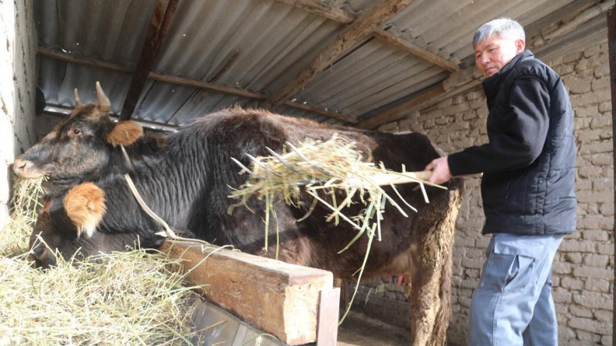  Жамбыл облысы әкімдігінен