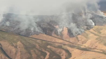 Фотография к новости: Жамбылдағы өртті ауыздықтауға қатты жел кедергі келтіріп жатыр