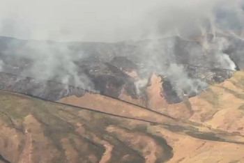 Фотография к новости: Жамбылдағы өртті ауыздықтауға қатты жел кедергі келтіріп жатыр