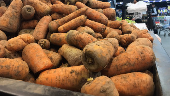 Фотография к новости: Сәбіздің ортаңғы бөлігін жеуге болмайды