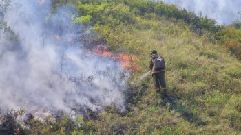 Фотография к новости: ШҚО-дағы өртті пойызбен сөндірді