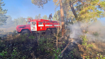 Фотография к новости: Абай облысындағы табиғи өрт оқшауланды