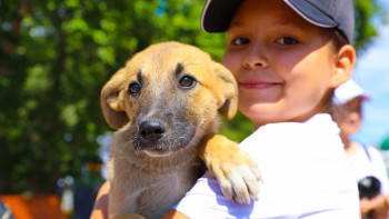 Фотография к новости: 1 қыркүйектен бастап үй жануарлары есепке алынады