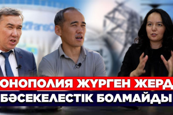 Фотография к новости: Монополия жүрген жерде бәсекелестік болмайды – сарапшы