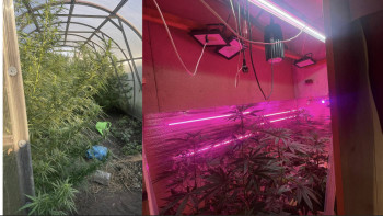 Фотография к новости: Рудный тұрғынынан қарасора мен қару-жарақ табылды