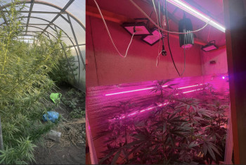 Фотография к новости: Рудный тұрғынынан қарасора мен қару-жарақ табылды