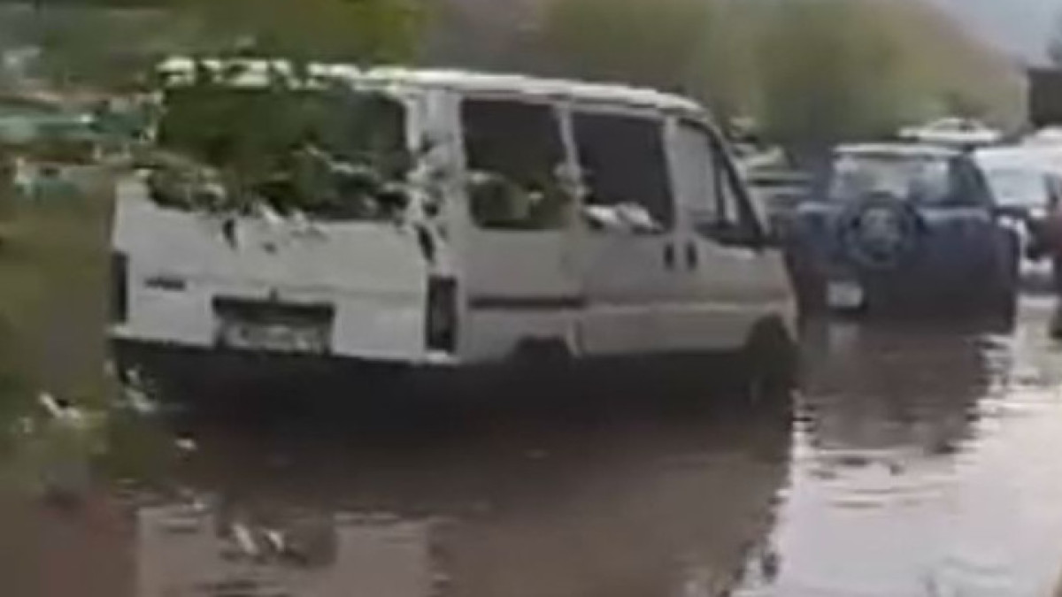  Видеодан скрин