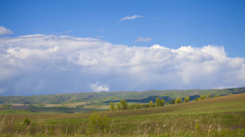 Фотография к новости: Елордада жер телімдері мемлекетке қайтарылды