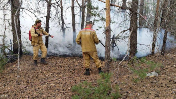 Фотография к новости: Экология министрлігінің қандай ұйымдарына үстемеақы төленеді?