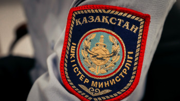 Фотография к новости: Павлодарда 4 жасар қыз терезеден құлап кетті