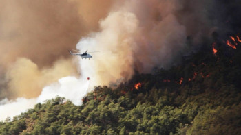 Фотография к новости: Гавайидегі орман өртінен 50-ден астам адам қаза тапты