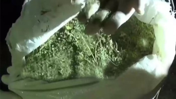 Фотография к новости: Жамбылдық тұрғыннан 50 келіден астам есірткі тәркіленді