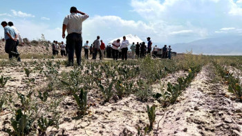 Фотография к новости: Жамбыл облысында төтенше жағдай жариялануы мүмкін