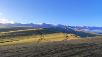 Фотография к новости: 3 баласымен саңырауқұлақ теруге кеткен әйелді құтқарушылар түні бойы іздеді