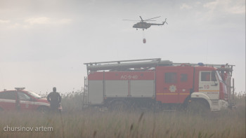 Фотография к новости: Қаза тапқан орманшылардың отбасына қалай және қанша өтемақы беріледі