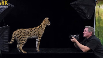 Фотография к новости: Алматыға National Geographic журналының фотографы келді