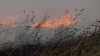 Фотография к новости: Биыл Солтүстік Қазақстанда 75,6 га аумақ жанып кетті