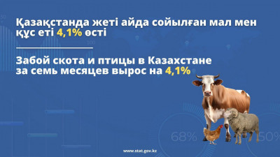 Қазақстанда жеті айда сойылған мал мен құс еті 4,1% өсті