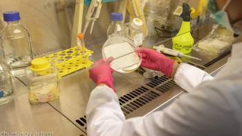 Фотография к новости: Шымкентте иммунтапшылығы вирусынан қорғайтын препарат сынақтан өтті