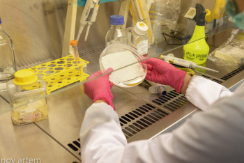 Фотография к новости: Шымкентте иммунтапшылығы вирусынан қорғайтын препарат сынақтан өтті