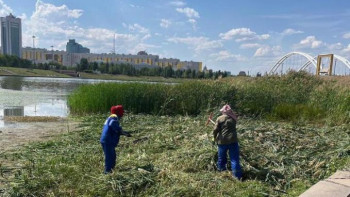 Фотография к новости: Елордада Ақбұлақ бұлағында санитарлық тазарту жұмысы жүріп жатыр