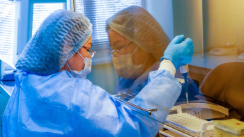 Фотография к новости: Қырғызстанда қызылша дерті өршіп тұр