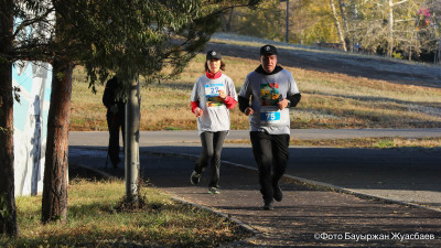 Қазақстанда қанша адам спортпен айналысады