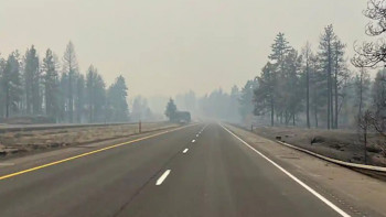 Фотография к новости: АҚШ-тағы орман өрті 200-ге жуық құрылымды қиратты