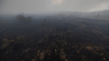 Фотография к новости: «Наурызым» қорығы аумағында бірнеше өрт шықты