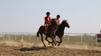 Фотография к новости: Қостанай асыл тұқымды жылқылары арасында кезекті бәйге өтті