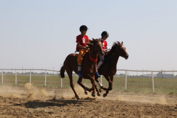 Фотография к новости: Қостанай асыл тұқымды жылқылары арасында кезекті бәйге өтті