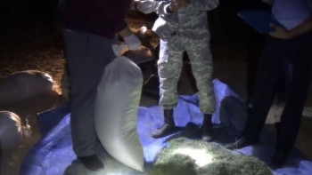 Фотография к новости: Жамбылдықтан 300 келіден астам жабайы қарасора тәркіленді