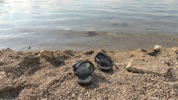 Фотография к новости: Түркістан облысында суға шомылуға тыйым салынған 111 участок бар