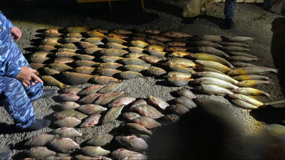 Шу қаласының тұрғынынан 100 келіге жуық балық тәркіленді