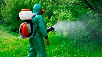 Фотография к новости: Алматыда жасыл желектерді биологиялық өңдеудің төртінші кезеңі басталды