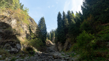 Фотография к новости: Қыркүйектен бастап табиғатты қорғау инспекторларының табысы артады