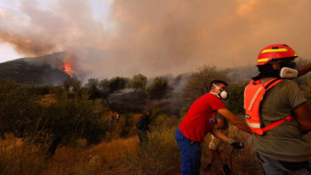 Фотография к новости: Грекияда ормандарға өрт қойып жүрген 5 адам қамауға алынды