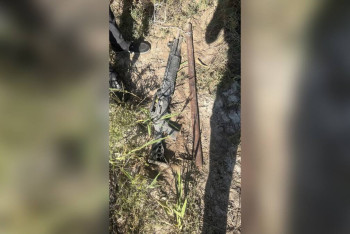 Фотография к новости: Жетісу тұрғындарынан екі күнде 11 атыс қаруы тәркіленді