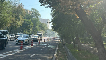 Фотография к новости: Алматы аспанын қою түтін қаптады