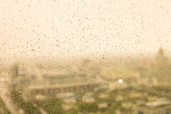 Фотография к новости: Еліміздің бірқатар өңірінде жаңбыр жауып, қатты жел тұрады