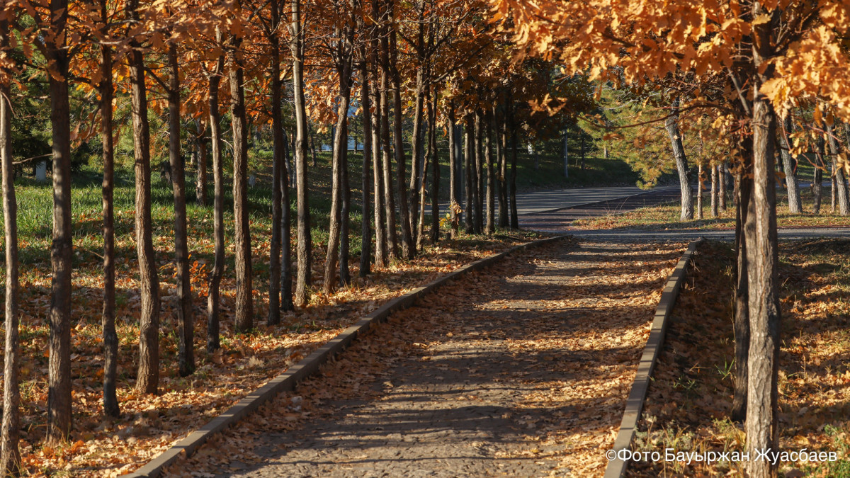  BAQ.KZ  - архив