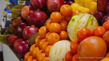 Фотография к новости: Ресейден келетін арзан импортты толық шектей алмаймыз -  Ахметов