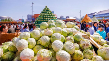 Фотография к новости: Тәжікстанның мәдени күндері: Астанада көрме-жәрмеңке аяқталды