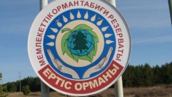 Фотография к новости: Енді "Ертіс орманына" бару ақылы болады