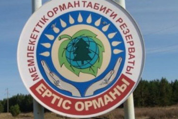 Фотография к новости: Енді "Ертіс орманына" бару ақылы болады