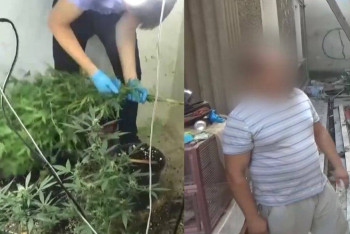 Фотография к новости: Шымкентте қарасора өсіретін фитолаборатория жойылды