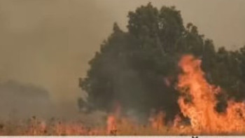 Фотография к новости: Грекиядағы өрттен 81 мың гектар жер күлге айналды