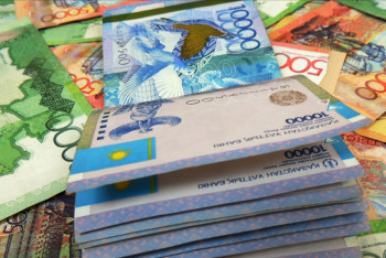 Фотография к новости: Салықтық жеңілдіктерді 20 пайызға қалай қырқартуға болады