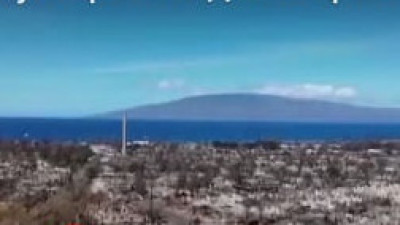 Мауи аралындағы орман өрті: 385 адам іздестіріліп жатыр